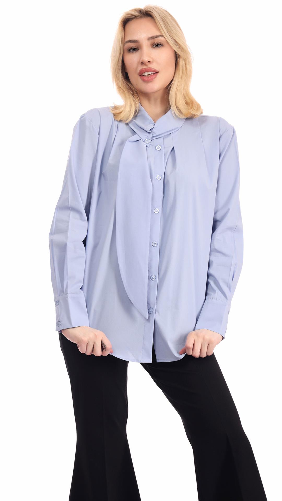 Tie-Neck Lantern Sleeve Blouse